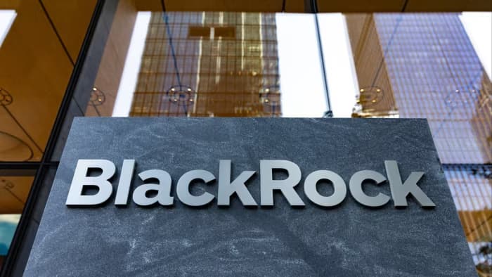 Blackrock Private Investments Fund banner