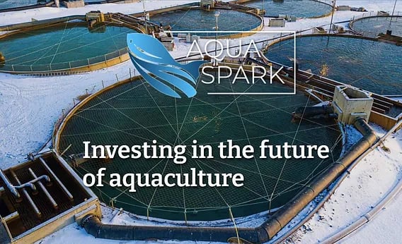 Aqua-Spark Global Fund banner