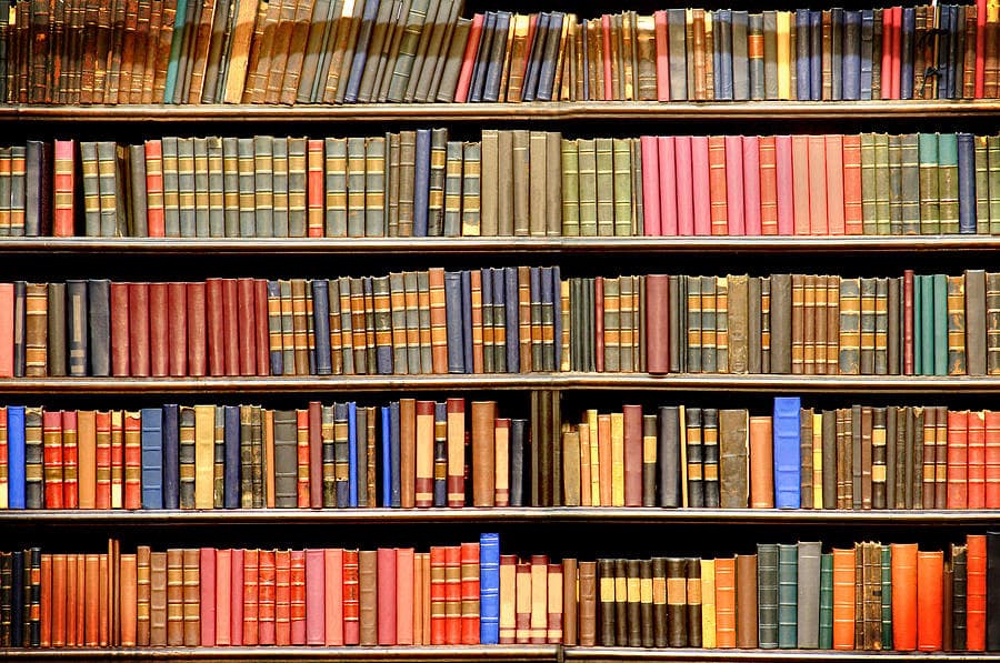 Holidays 2025: What are we reading?